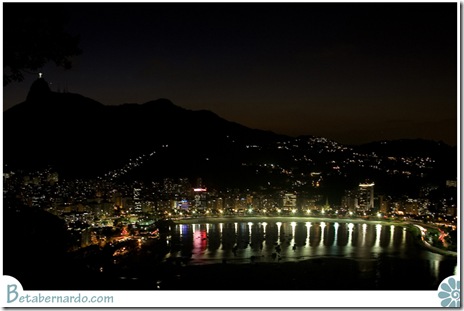 IMG_2817-1 copy