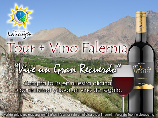 promotourvino590x442.jpg