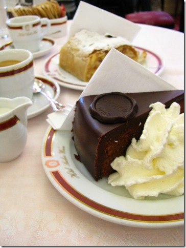 sacher2 sacher2