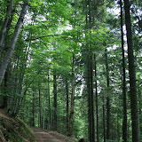 karpaty_2009 412.jpg