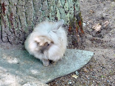 2010, Skansen, Midsommar 012