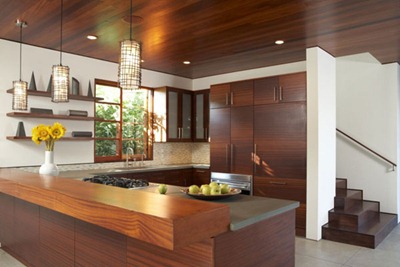 Venice-california-residence 6