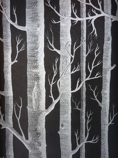 Woods
