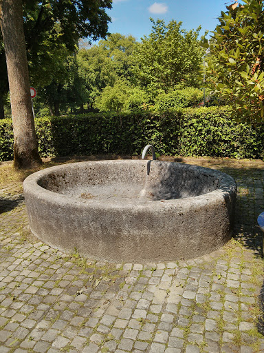 Dry Fountain in the Elfenau
