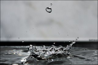 [gota no oceano[8].jpg]