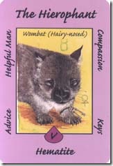 Australian Animal Tarot (5)