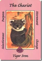 Australian Animal Tarot (7)