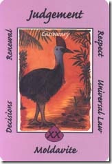 Australian Animal Tarot (20)