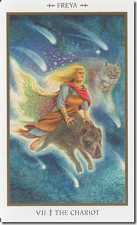 Animals Divine Tarot (7)