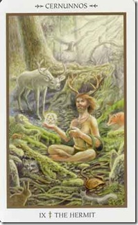 Animals Divine Tarot (9)