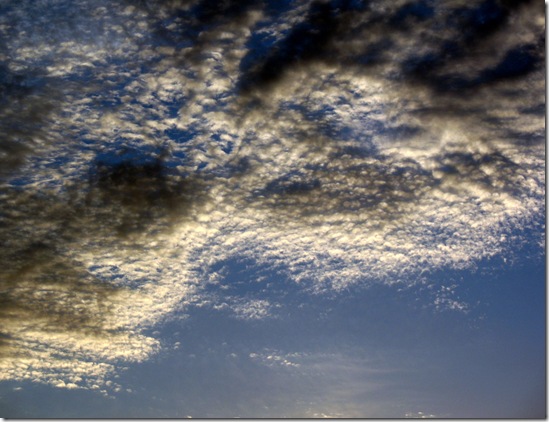 IMG_7447 IMG_7447