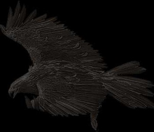 Golden_Eagle_blk Golden_Eagle_blk