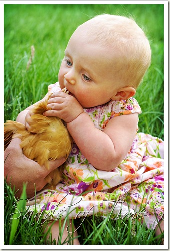IMG_5095-copy_web