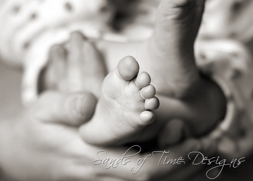 [IMG_7522 copy bw_web[2].jpg]