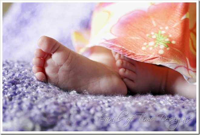 IMG_7796_fltd-copy_web