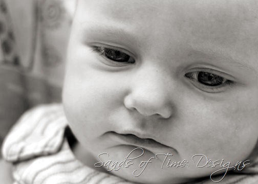 [IMG_8515-copy-bw_web[2].jpg]
