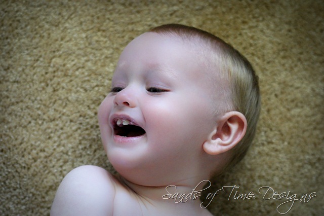 [IMG_8203-4_wb[2].jpg]