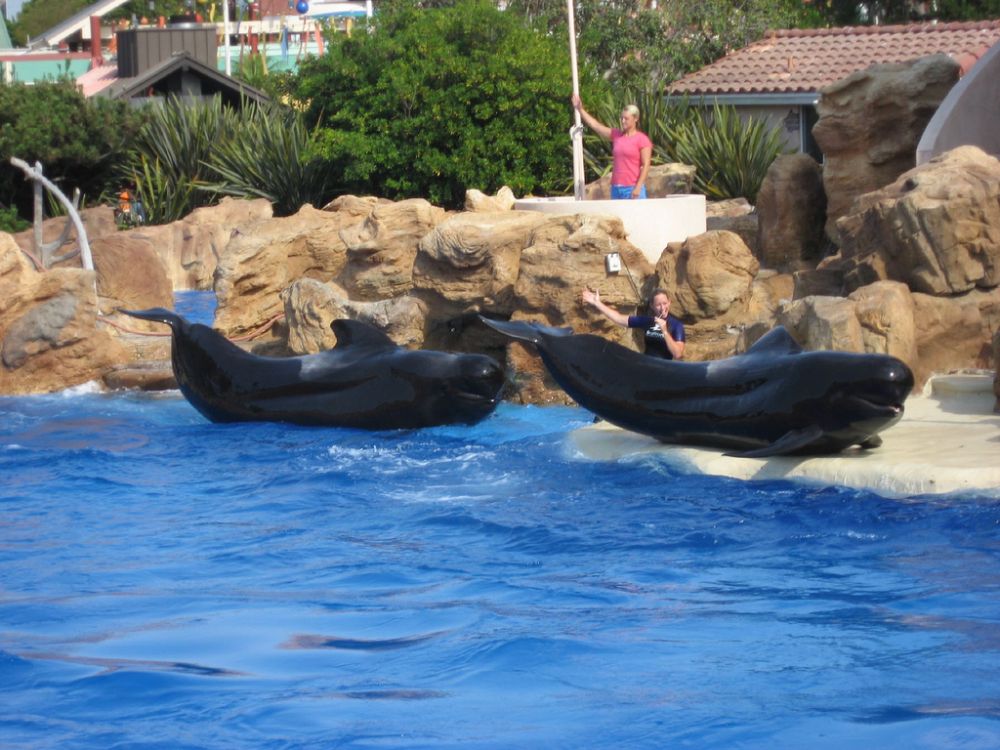 [sea_world_19.jpg]