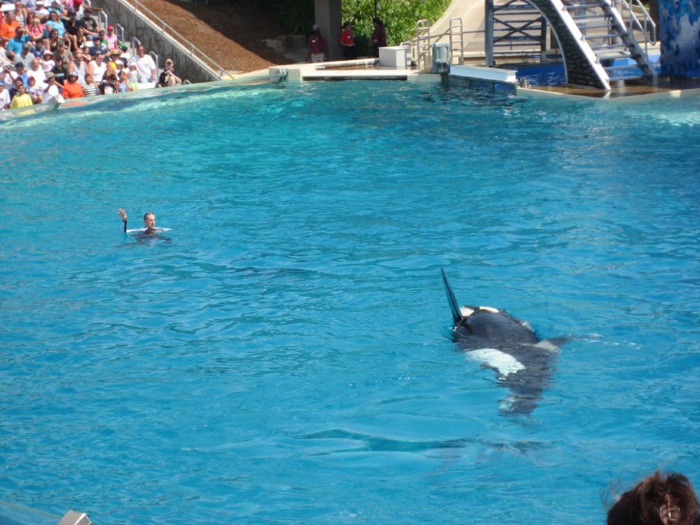 [sea_world_16.jpg]