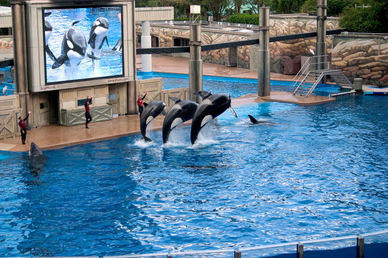 [sea_world_32.jpg]
