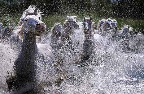 [steve_bloom_053.jpg]