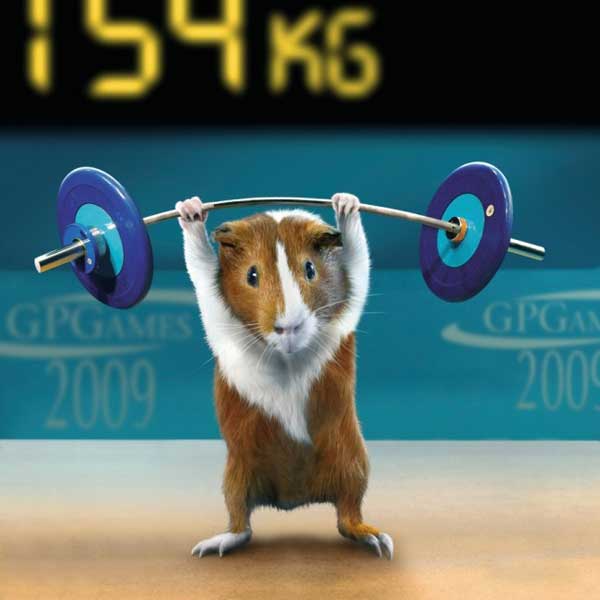 [Animal_Olympics_02.jpg]