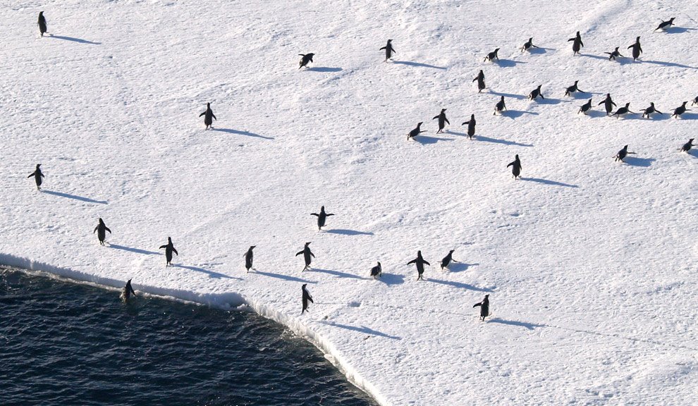[antarctica_26.jpg]