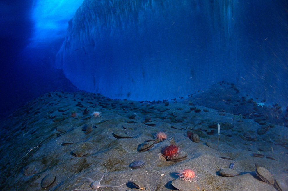 [antarctica_22.jpg]
