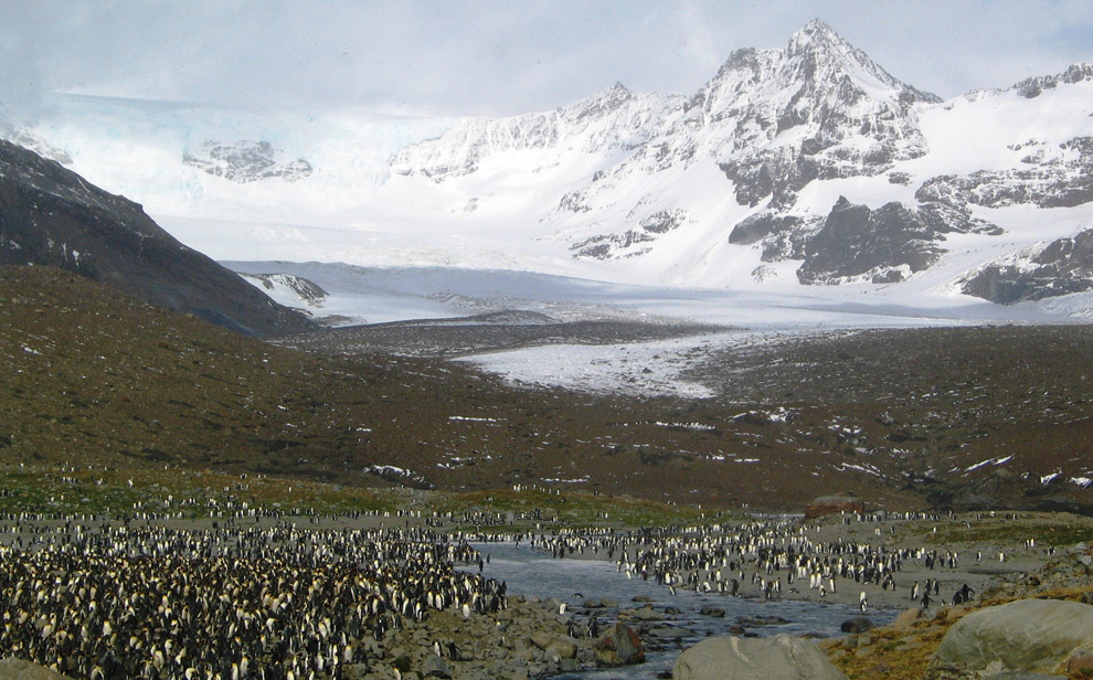 [antarctica_21.jpg]