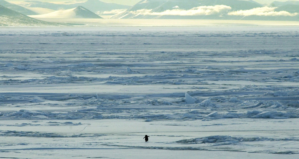 [antarctica_01.jpg]