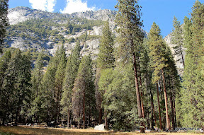 Yosemite National Park, CA, USA