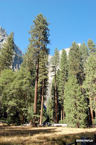 Yosemite National Park, CA, USA
