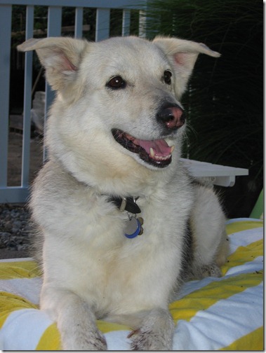 Family Photos 003