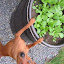 The Gardensmith's Edible garden