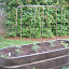 TheGardensmith's Vegetable bed #3 garden