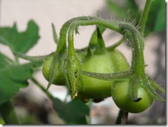DSCN0127