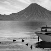 IMG_6196-1.JPG