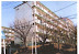 Tokyo Apartment