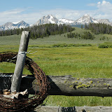 A Summer In The Field