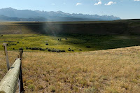 0253_8-9-2008 5-04-03 PM_DxO_raw.jpg