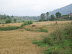 Walk to Hutenbun, just outside Kathmandu.
