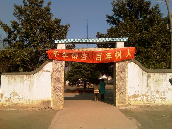 IMAG0001.jpg
