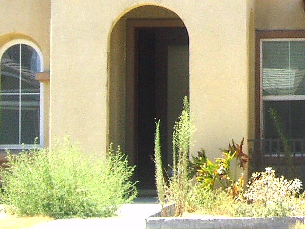 [drake front door[3].jpg]