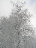 bigsnowday (5).JPG