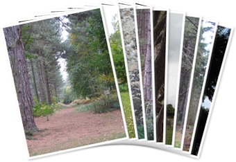 View Sandringham 2009