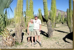 11 Cactus San Carlos (4a) 11 Cactus San Carlos (4a)