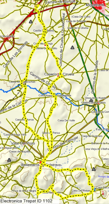 Ruta