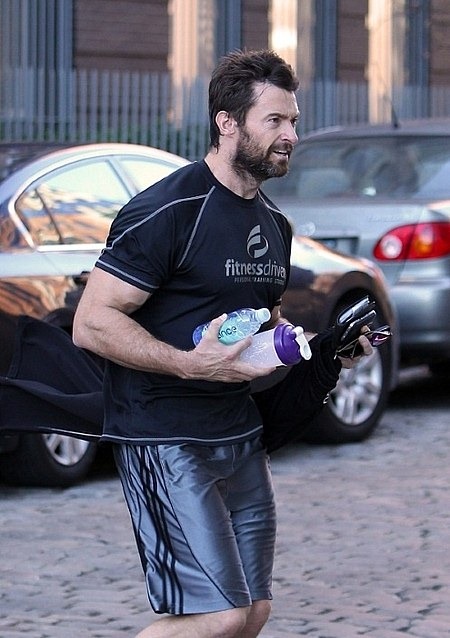 The Wolverine 002