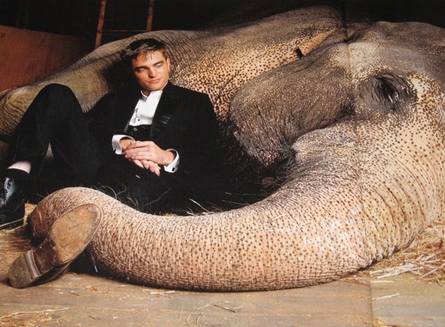 Water for Elephants 01