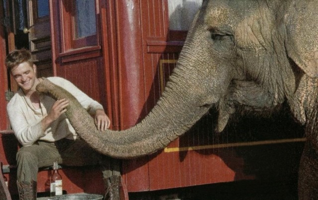 Water for Elephants 02